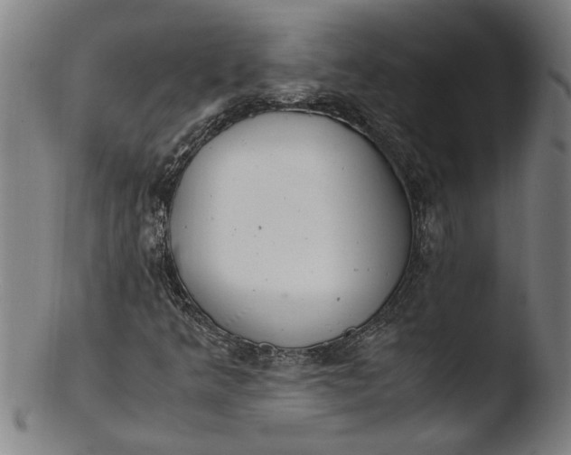 X0000103451349200809261807