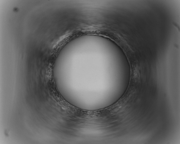 X0000103451350200809261807