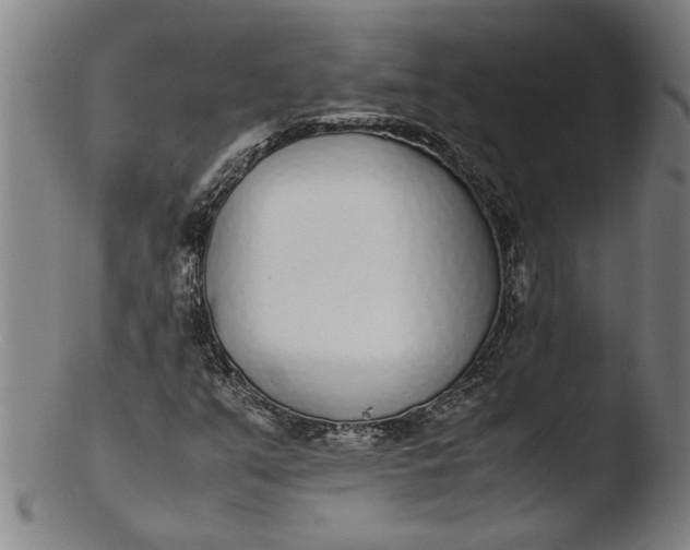 X0000103451351200809261807