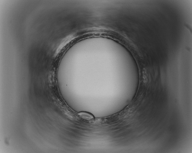 X0000103451352200809261807