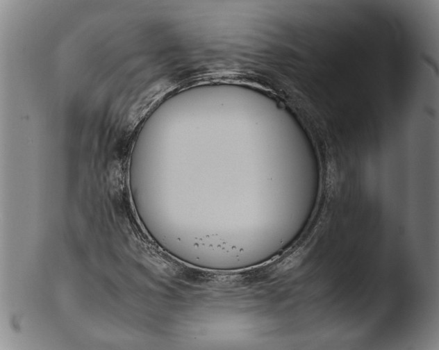 X0000103451353200809261807