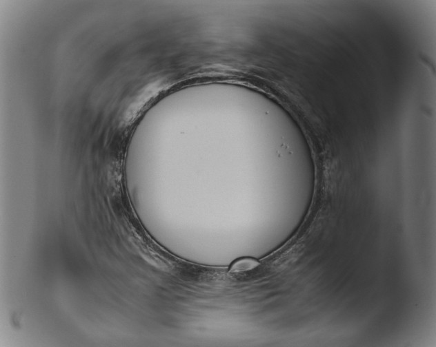 X0000103451355200809261807