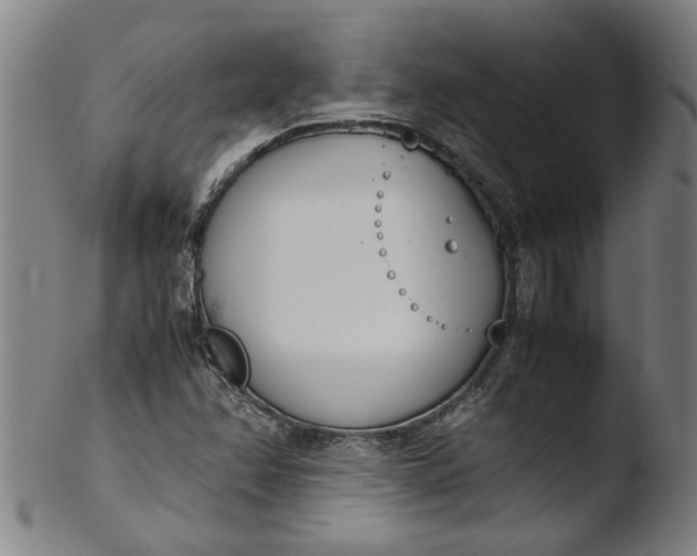 X0000103451358200809261807