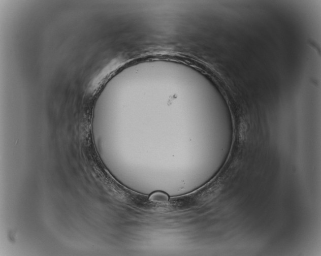 X0000103451359200809261807