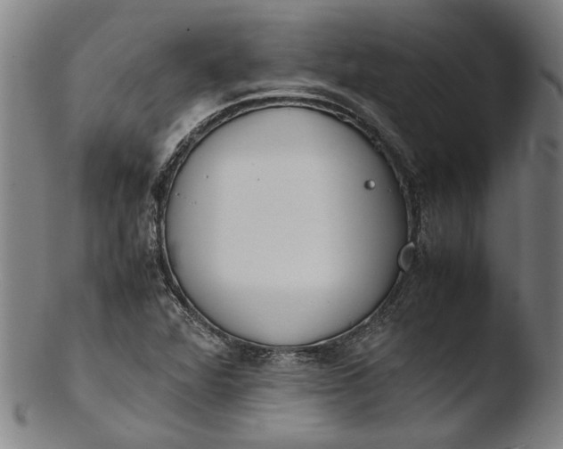 X0000103451360200809261807