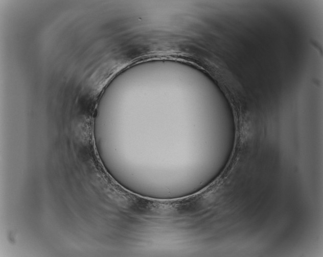 X0000103451361200809261807