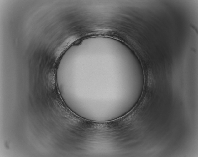 X0000103451362200809261807