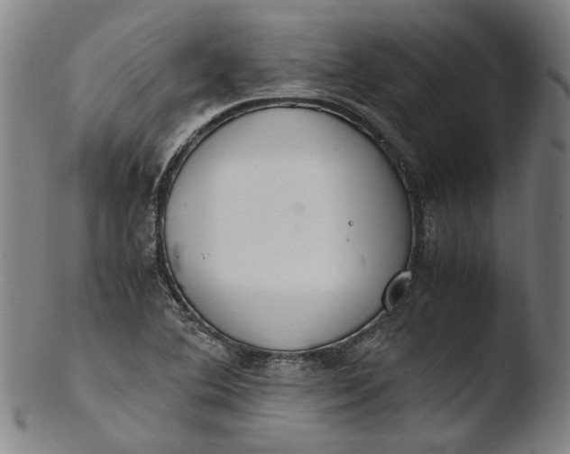 X0000103451364200809261807