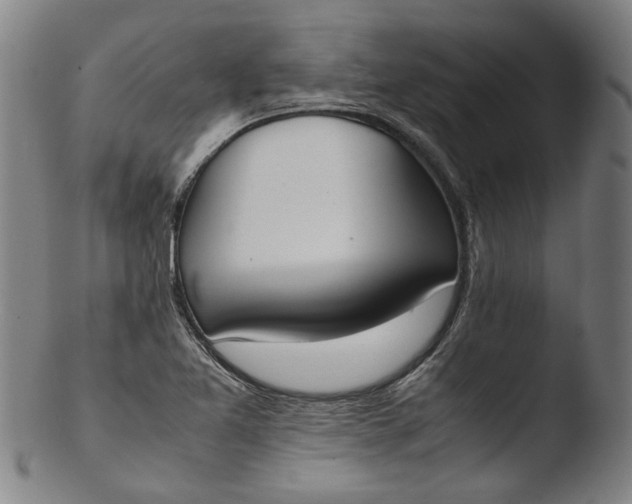 X0000103451365200809261807