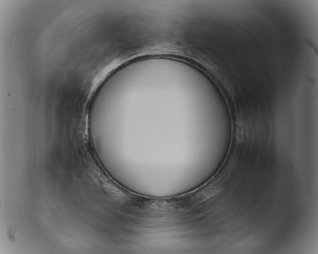 X0000103451366200809261807