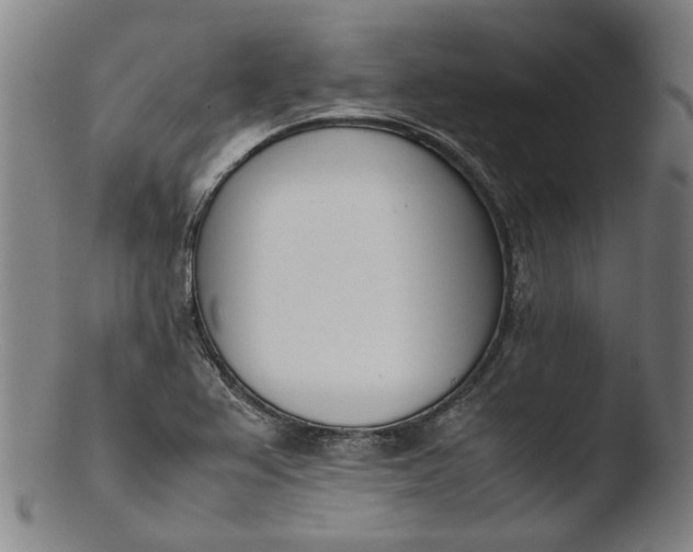 X0000103451367200809261807