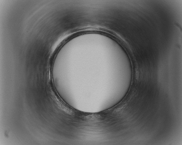 X0000103451368200809261807