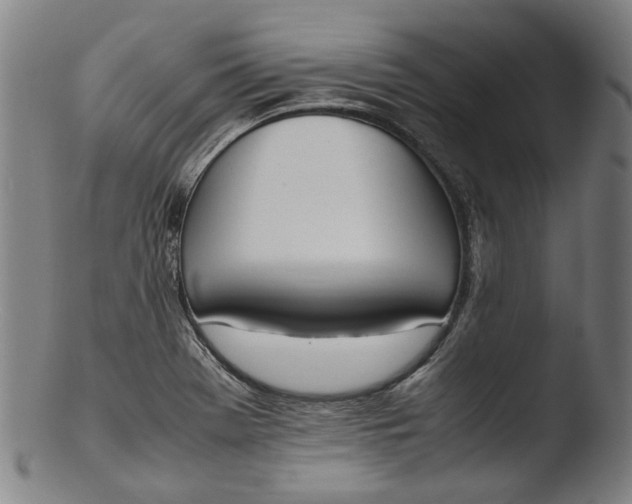 X0000103451369200809261807