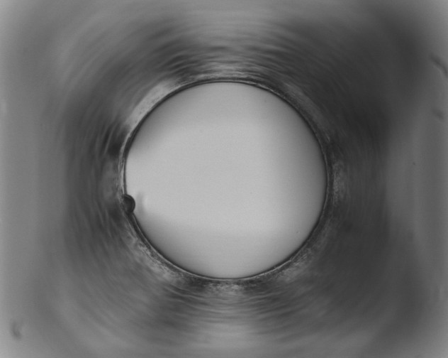 X0000103451370200809261807