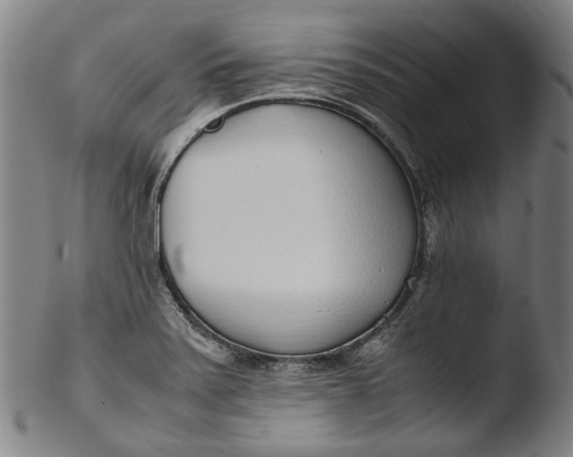 X0000103451371200809261807