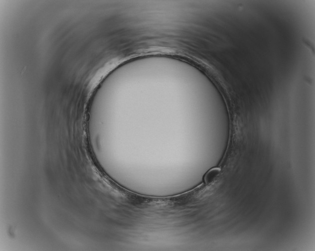 X0000103451373200809261807