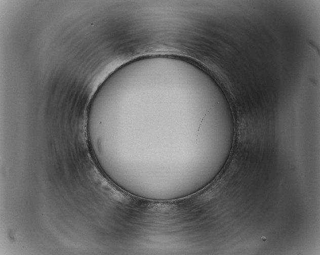 X0000103451374200809261807