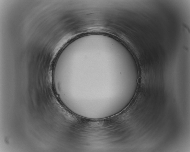 X0000103451376200809261807