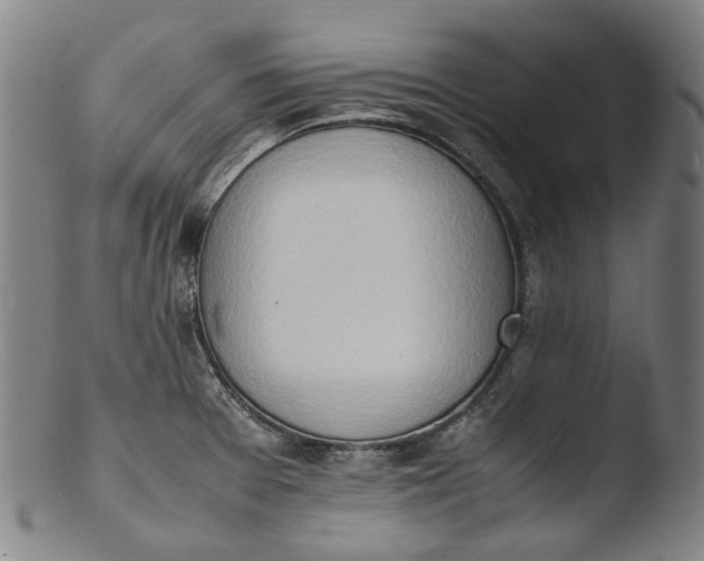 X0000103451377200809261807