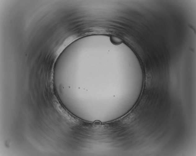 X0000103451378200809261807