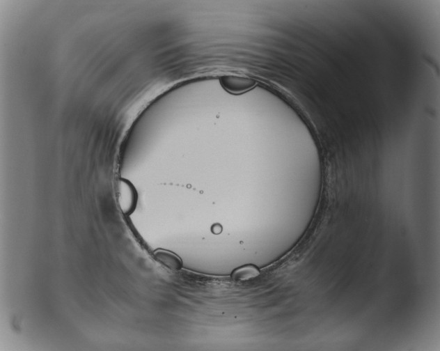 X0000103451379200809261807