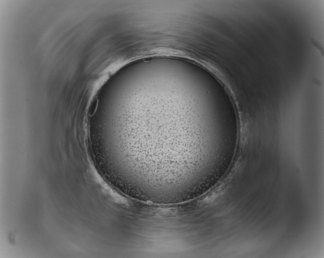 X0000103451381200809261807