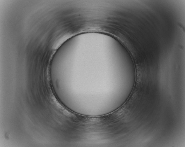 X0000103451382200809261807