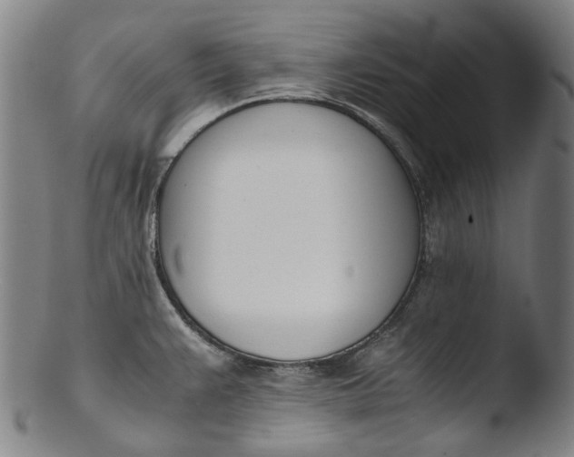 X0000103451383200809261807