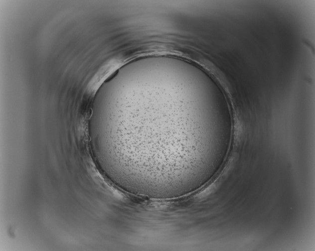 X0000103451385200809261807