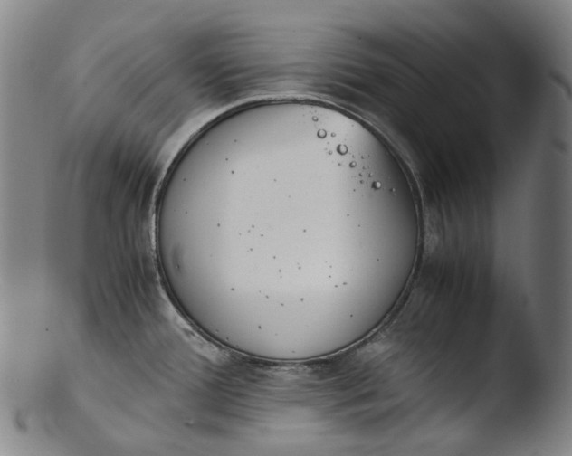 X0000103451388200809261807