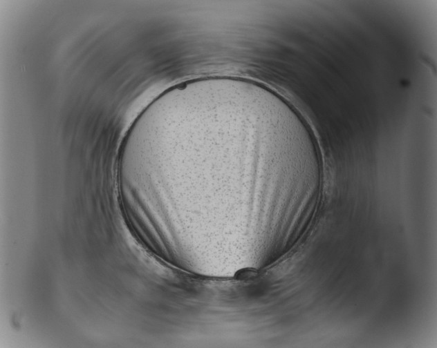 X0000103451389200809261807