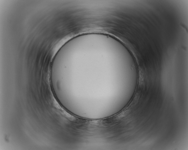 X0000103451390200809261807