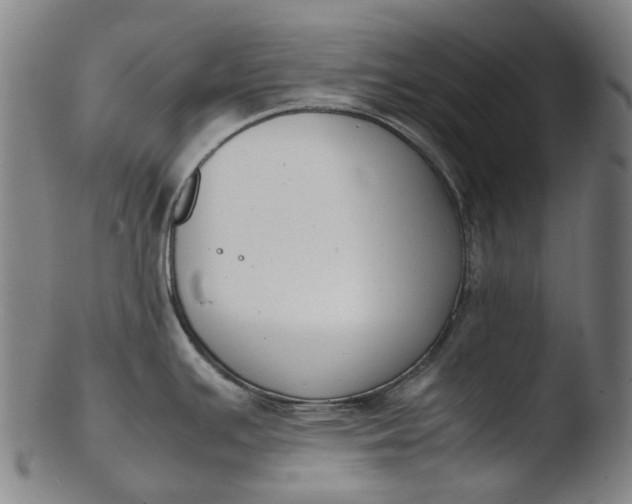 X0000103451391200809261807