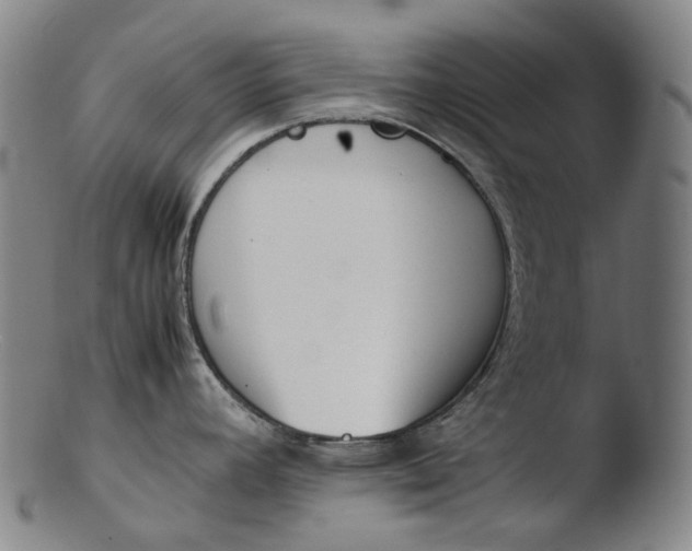 X0000103451392200809261807