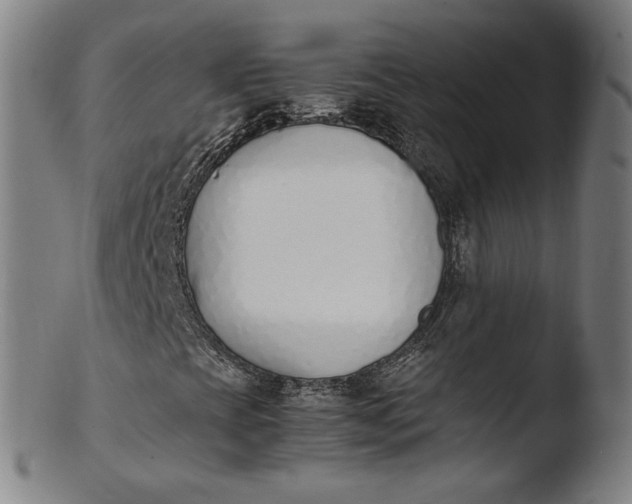 X0000103451393200809261806