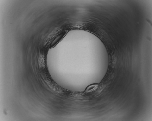 X0000103451394200809261806