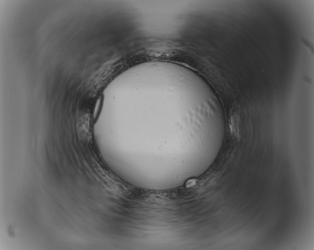 X0000103451396200809261806