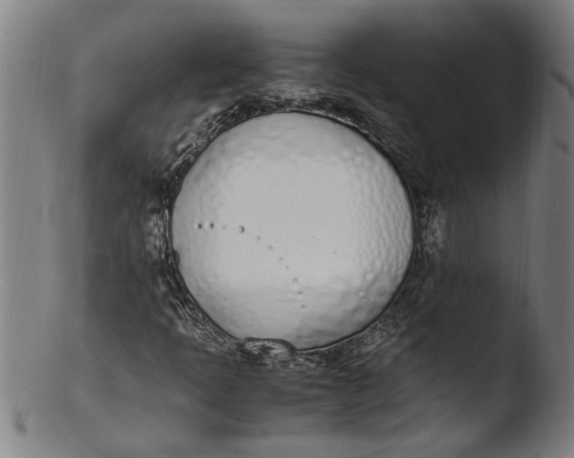 X0000103451397200809261806