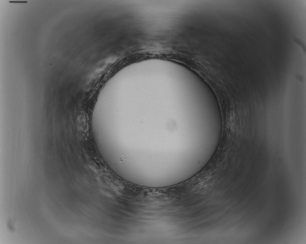 X0000103451398200809261806