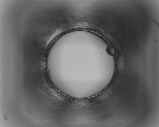 X0000103451400200809261806