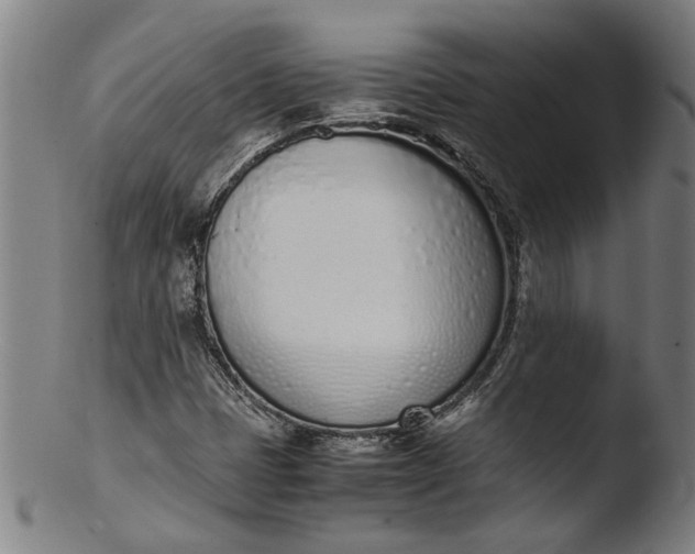 X0000103451401200809261806