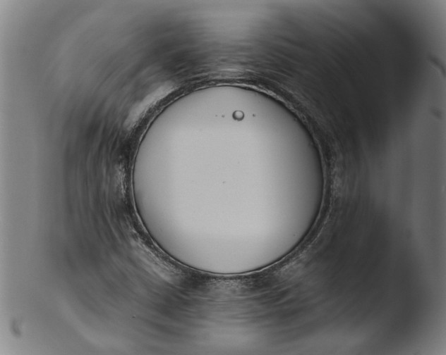 X0000103451402200809261806