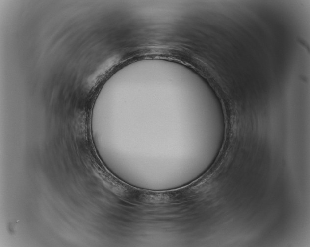 X0000103451403200809261806