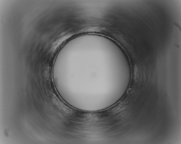 X0000103451404200809261806