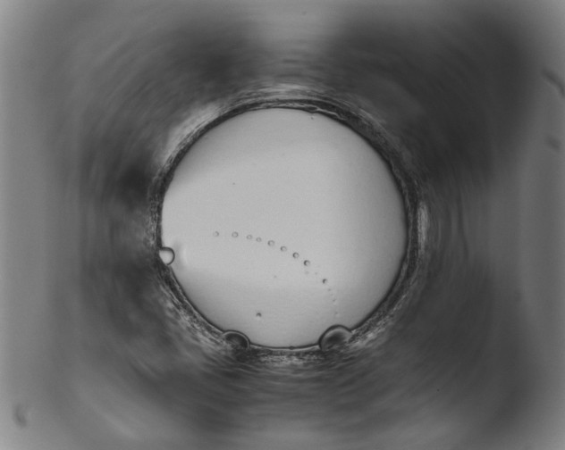 X0000103451405200809261806