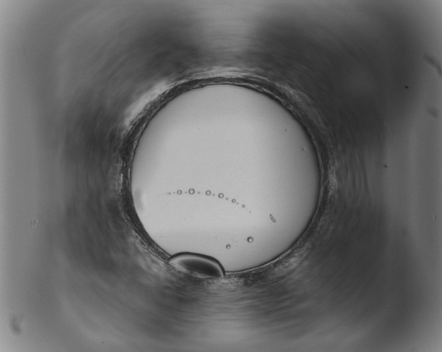 X0000103451406200809261806