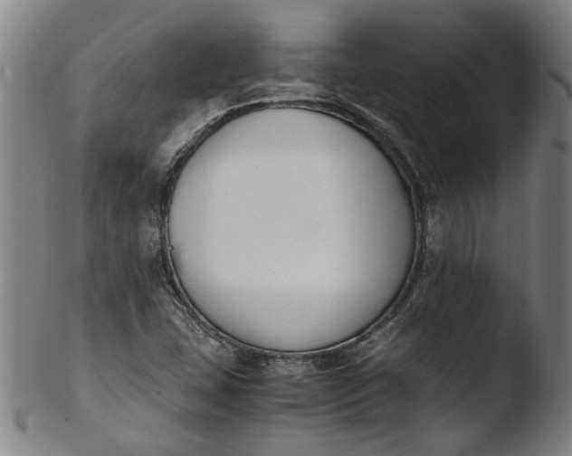 X0000103451407200809261806