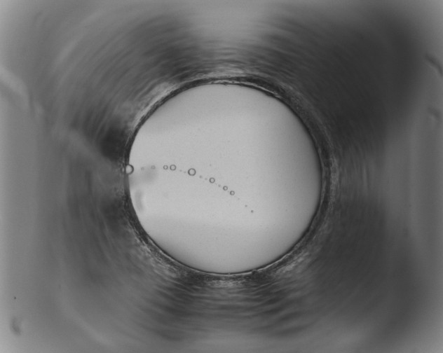 X0000103451409200809261806