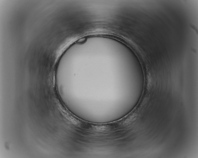 X0000103451413200809261806