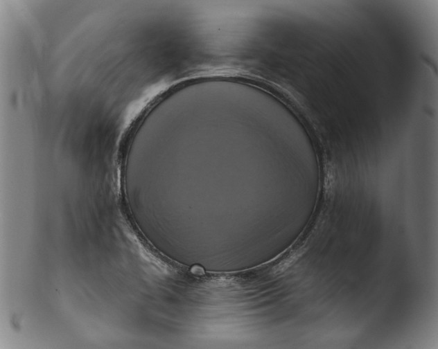 X0000103451414200809261806